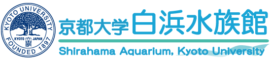 京都大学白浜水族館